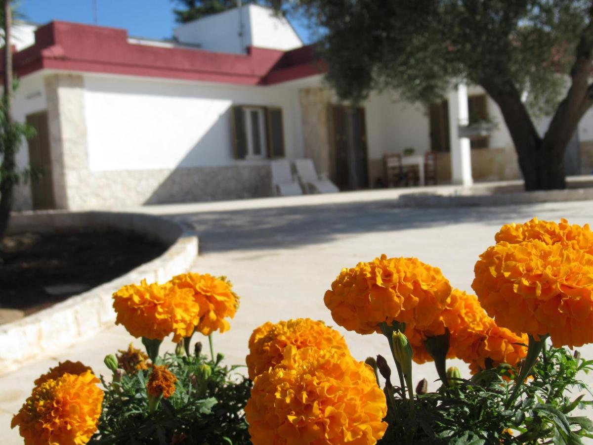 Villa Casa Ale&Vinci Monopoli Exterior foto