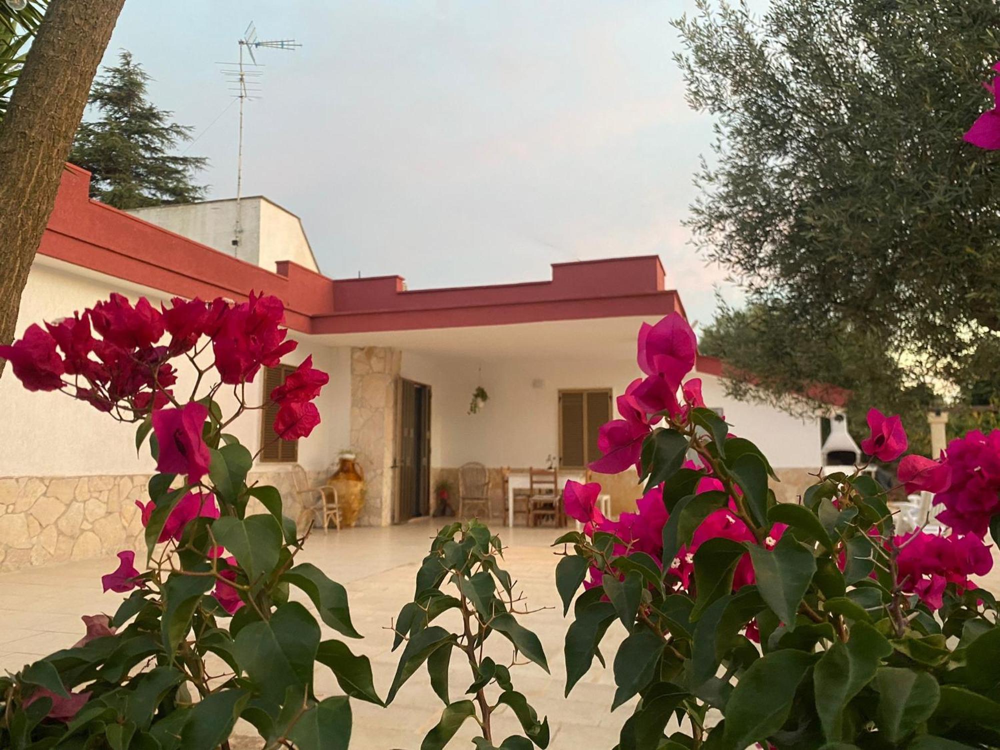 Villa Casa Ale&Vinci Monopoli Exterior foto